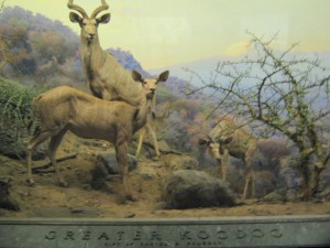 diorama